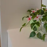 Balon 아파트